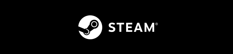 スチーム版で遊ぶ